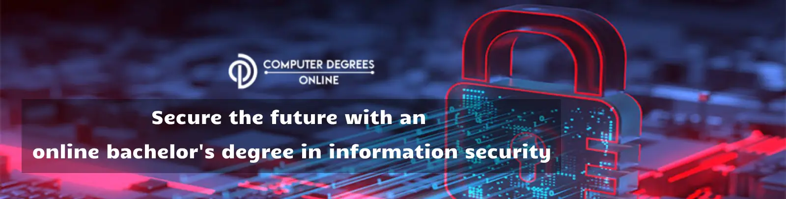 Secure the future with an online bachelor's degree in information security